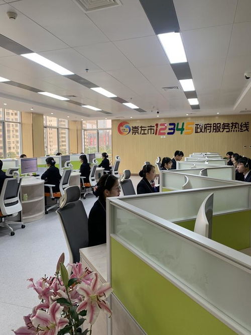 信息化提升崇左服務(wù)，大數(shù)據(jù)刷新崇左速度——以義烏經(jīng)驗(yàn)為鑒的信息技術(shù)咨詢服務(wù)之路