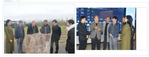 義烏柔性引進海外院士 信息技術咨詢服務再添高端智庫